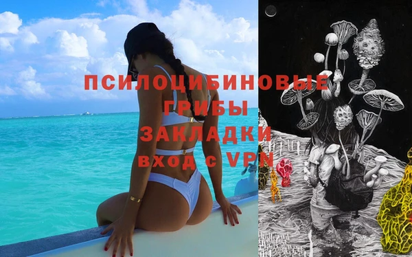 прущая мука Абаза