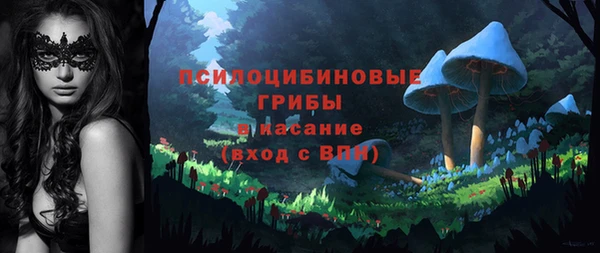 прущая мука Абаза